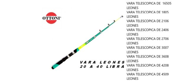 Vara Leones - Imagem 2
