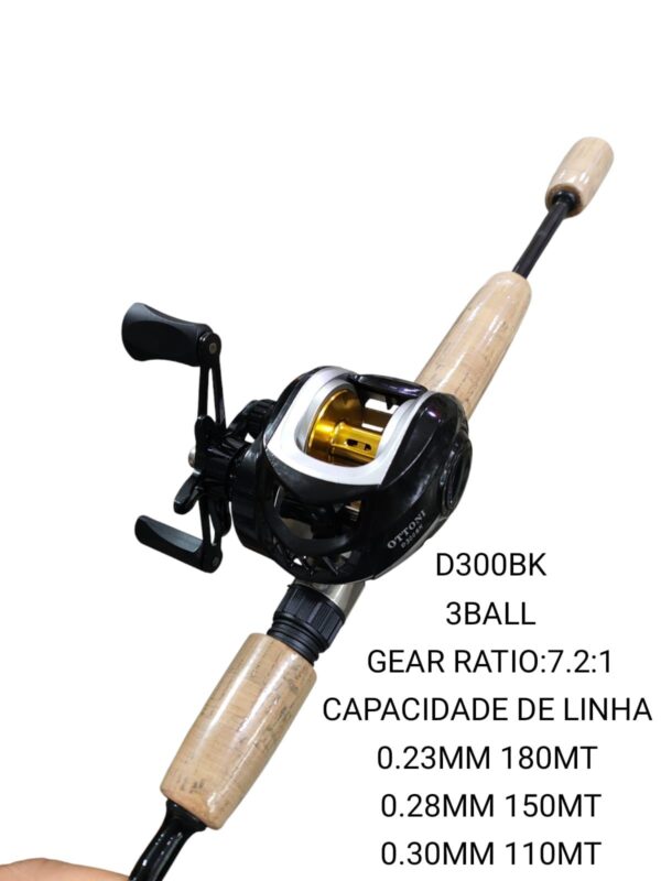 D300BK