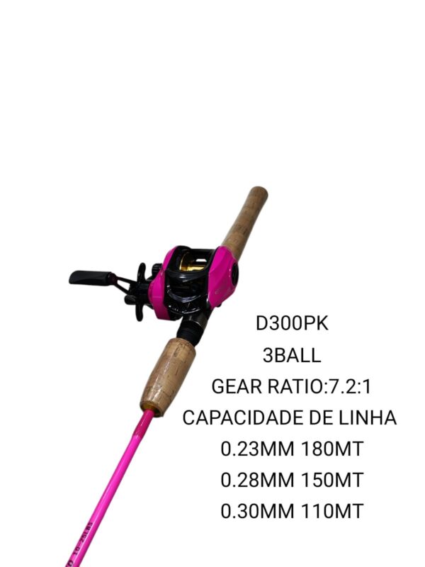 D300PK