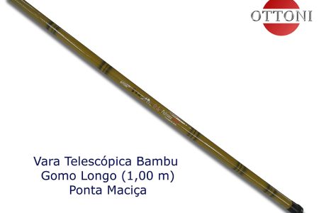 Bambu-Longa.jpg