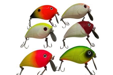 WhatsApp Image 2024-09-21 at 21.56.09