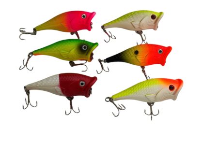 WhatsApp Image 2024-09-21 at 21.56.10